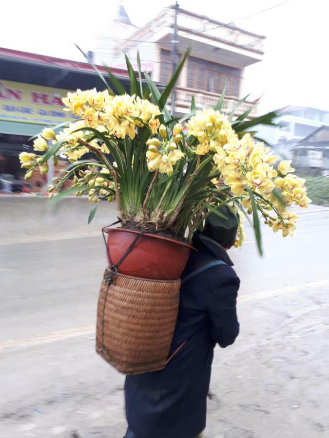 Thuan Ha Hotel Sapa Exterior photo